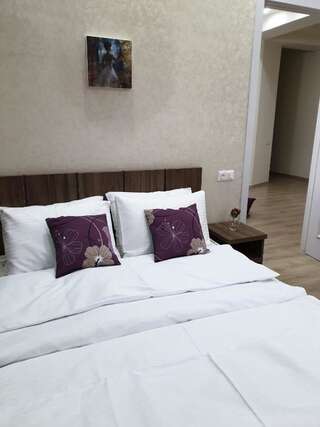 Апарт-отели Vazi Aparthotel Тбилиси Апартаменты-8